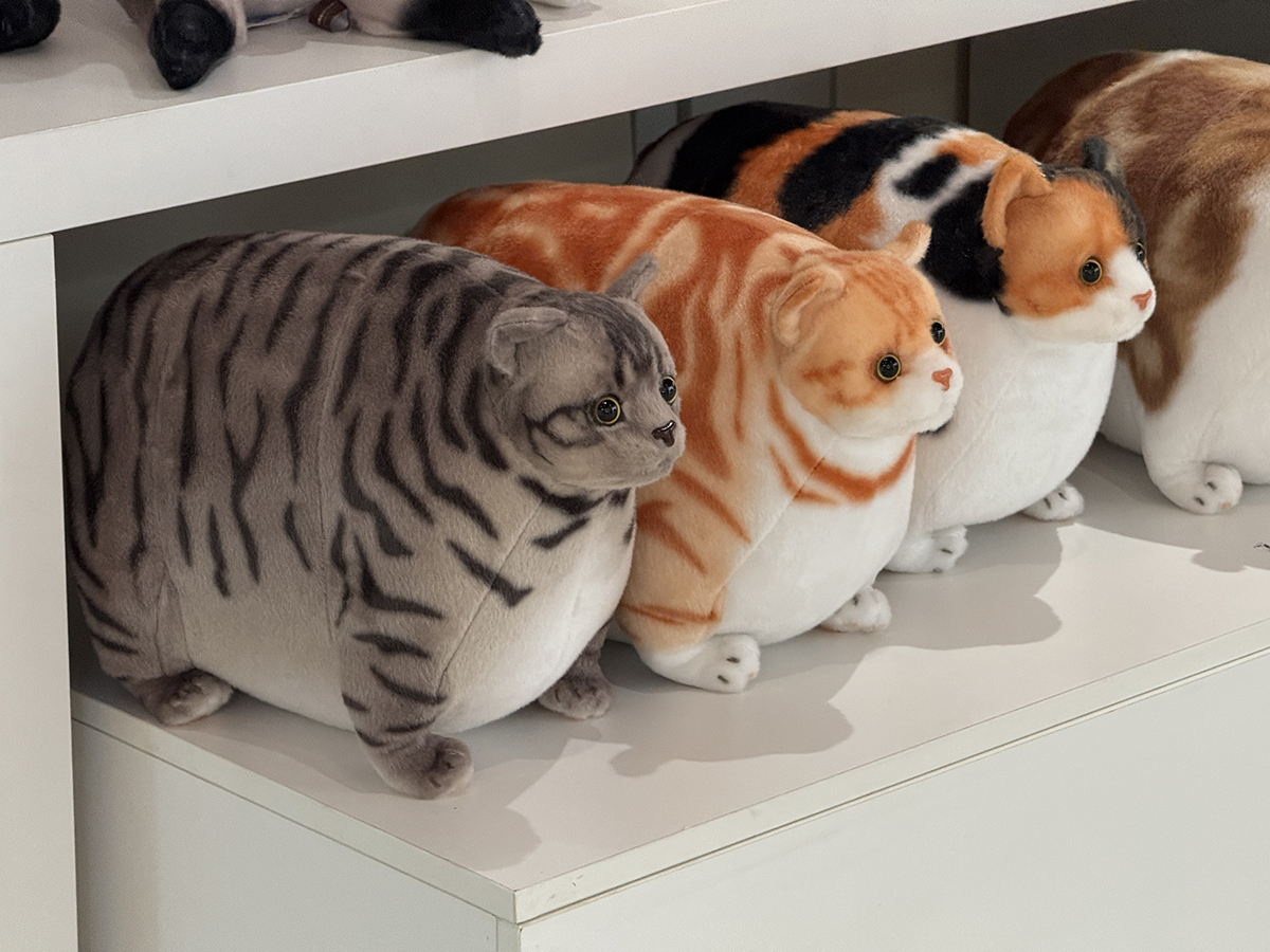 從早逛到晚也不累！大江改裝新空間+網美打卡+美食甜點，全部幫你準備好！全新改裝重磅回歸